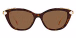 Havana / Tortoise / Dark Brown