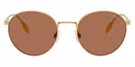 Shiny Gold / Dark Brown