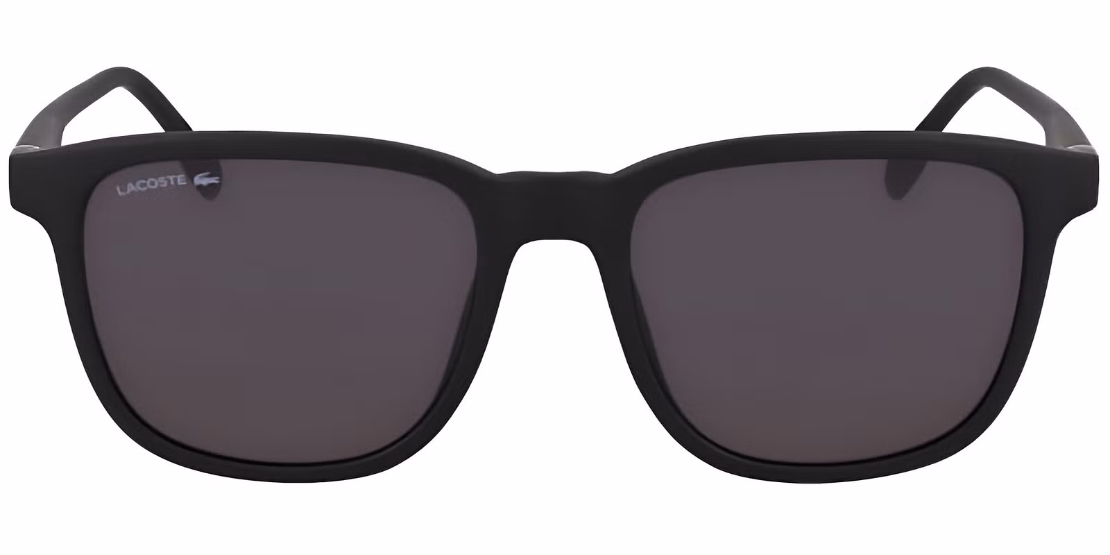 L6029S