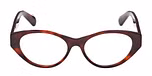 DARK HAVANA / DARK HAVANA