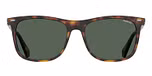 DARK HAVANA / GREEN POLARIZED