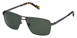MATT GUN METAL / GREEN / POLARIZED