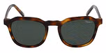 BROWN MEDIUM MATT / Polarized
