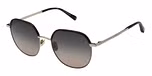 DARK TORT RIM / GRADUATED