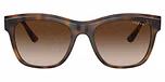 Top Dark Havana/Light Brown / Brown Gradient