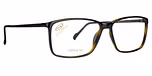 Black / Tortoise
