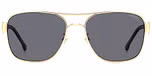 GOLD BLACK_ (GREY POLARIZED)
