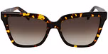 TOKYO TORTOISE