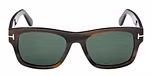 COLOURED HAVANA / COLOURED HAVANA / GREEN