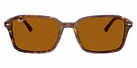 Transparent Fantasy Brown / B-15 Brown
