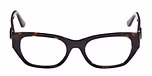 Dark Havana / Shiny Dark Brown