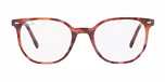 BROWN & VIOLET HAVANA / havana