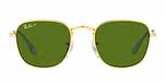 LEGEND GOLD / gold / green polar