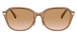 Transparent Brown / Brown Gradient