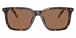 Shiny Dark Havana / Dark Brown