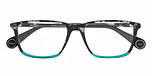BLACK TORTOISE