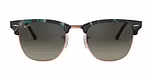 SPOTTED GREY / GREEN / havana / light grey gradient dark grey