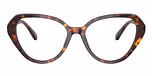 Havana / Tortoise