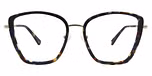 Gold Dark Tortoise