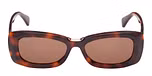 DARK HAVANA / DARK HAVANA / BROWN