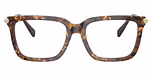 Brown Pearlized Tortoise