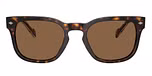 Dark Havana / Brown / Dark Brown