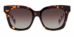 HAVANA (BROWN SHADED POLARIZED)