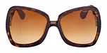 DARK HAVANA / DARK HAVANA / GRADIENT BROWN