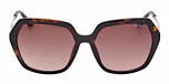 DARK HAVANA / SHINY DEEP GOLD / GRADIENT BROWN
