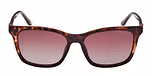 DARK HAVANA / DARK HAVANA / BROWN POLARIZED