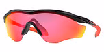 POLISHED BLACK / black / prizm road