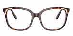 Havana / Tortoise