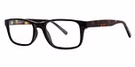 Black tortoise
