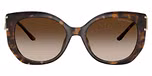 Dark Tortoise / Brown Gradient