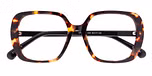 Dark Tortoiseshell