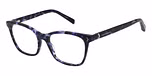 NAVY TORT