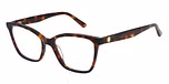 GLOSS TORT