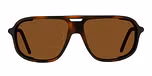 Tortoise / Brown Polar / Polarized