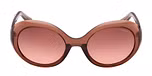 SHINY DARK BROWN / SHINY DARK BROWN / GRADIENT BROWN