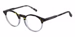 TORTOISESHELL