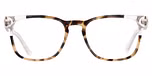 KHAKI TORTOISE / CLEAR