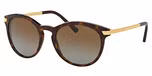 DK TORTOISE/GOLD/brown gradient polarized