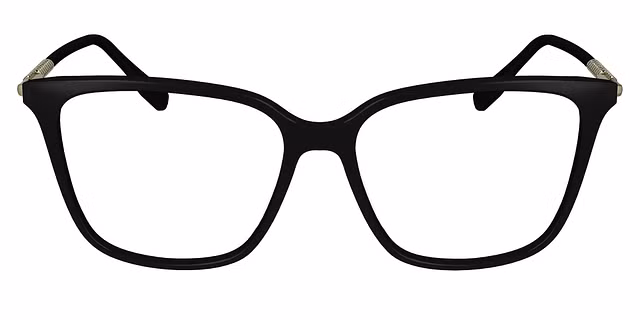 Lacoste - L2940