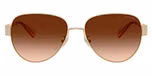 Shiny Light Gold / Brown Gradient