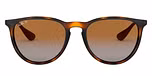 HAVANA / havana / polarized brown gardient