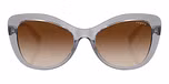 Transparent Grey / Brown Gradient