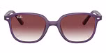 Opal Violet / Grey/violet
