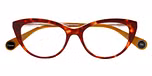 RED TORTOISE