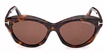DARK HAVANA / DARK HAVANA / BROWN / ECO