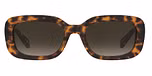 HAVANA (BROWN SHADED GRADIENT)